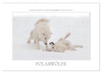 Vorderes Coverbild Emotionale Momente: Polarwölfe. / CH-Version (Wandkalender 2026 DIN A2 quer), CALVENDO Monatskalender