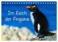 Im Reich der Pinguine (Tischkalender 2025 DIN A5 quer), CALVENDO Monatskalender