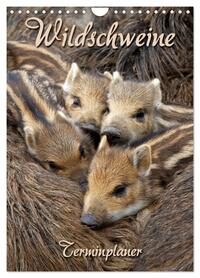 Wildschweine (Wandkalender 2026 DIN A4 hoch), CALVENDO Monatskalender