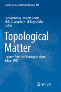 Topological Matter