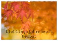 Lieblingsfarbe Herbst (Wandkalender 2025 DIN A2 quer), CALVENDO Monatskalender