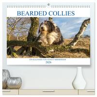 BEARDED COLLIES 2026 (hochwertiger Premium Wandkalender 2026 DIN A2 quer), Kunstdruck in Hochglanz