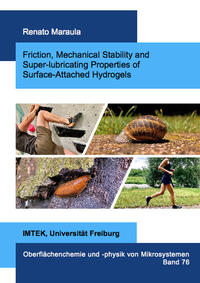 Friction, Mechanical Stability and Super-lubricating Properties of Surface-Attached Hydrogels