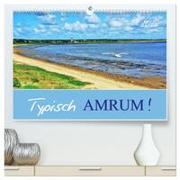 Typisch Amrum! (hochwertiger Premium Wandkalender 2026 DIN A2 quer), Kunstdruck in Hochglanz