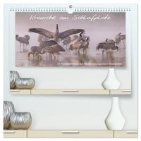 Kraniche am Schlafplatz - im Naturparadies der Mecklenburgischen Seenplatte (hochwertiger Premium Wandkalender 2026 DIN A2 quer), Kunstdruck in Hochglanz