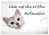 Liebe auf den ersten Katzenblick (Tischkalender 2025 DIN A5 quer), CALVENDO Monatskalender