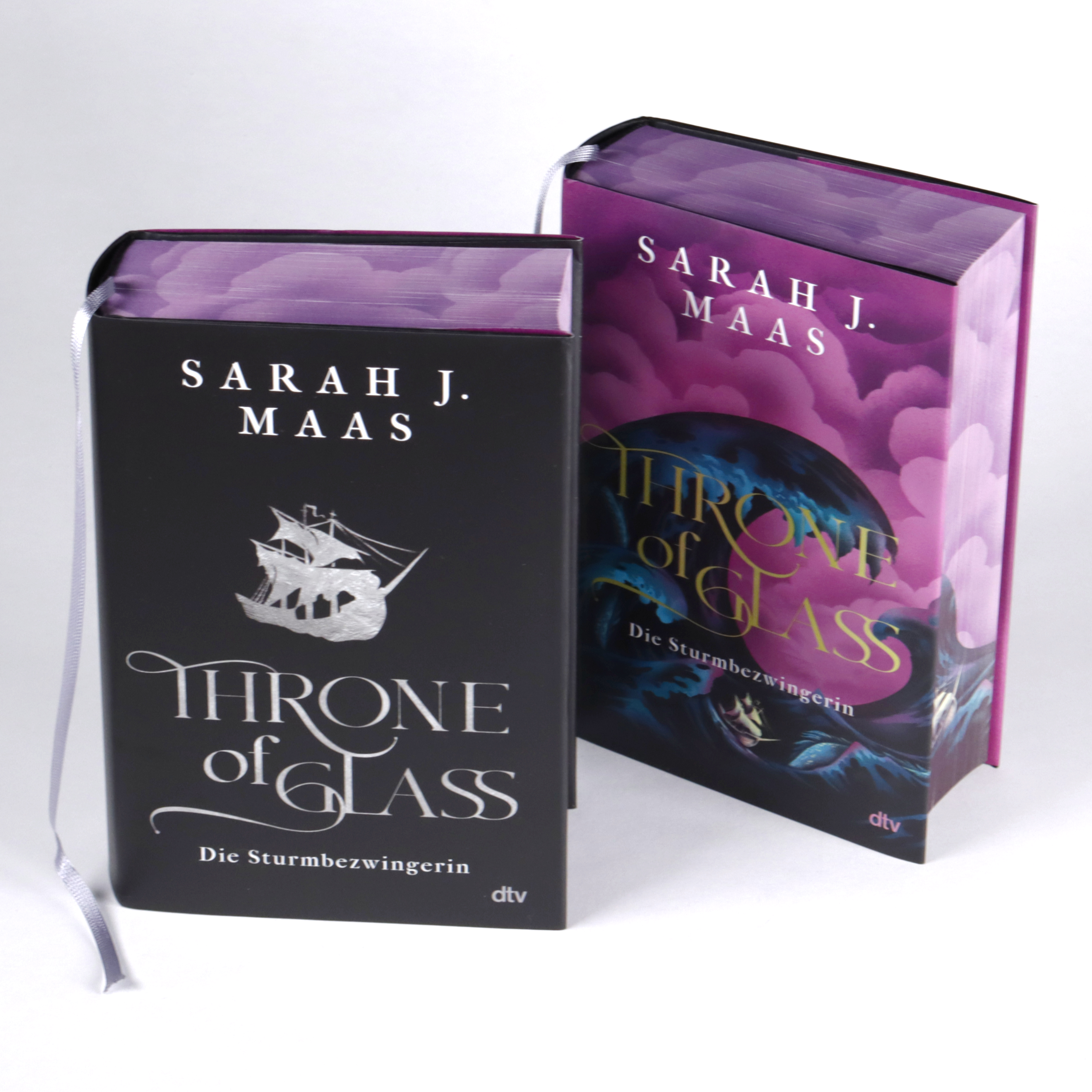 Beispielinhalt (Bild) Throne of Glass – Die Sturmbezwingerin