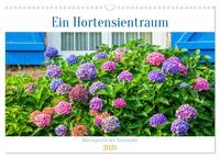 Ein Hortensientraum (Wandkalender 2026 DIN A3 quer), CALVENDO Monatskalender