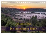 Die Lüneburger Heide - In voller Blüte (Tischkalender 2026 DIN A5 quer), CALVENDO Monatskalender