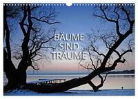 Bäume sind Träume (Wandkalender 2026 DIN A3 quer), CALVENDO Monatskalender