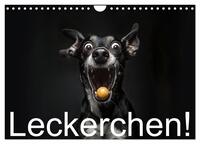 Leckerchen! (Wandkalender 2026 DIN A4 quer), CALVENDO Monatskalender
