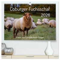 Coburger Fuchsschaf (hochwertiger Premium Wandkalender 2026 DIN A2 quer), Kunstdruck in Hochglanz
