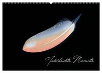 Federleichte Momente (Wandkalender 2025 DIN A2 quer), CALVENDO Monatskalender