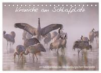 Kraniche am Schlafplatz - im Naturparadies der Mecklenburgischen Seenplatte (Tischkalender 2026 DIN A5 quer), CALVENDO Monatskalender