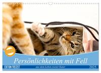 Persönlichkeiten mit Fell - aus dem Leben zweier getigerter Kater (Wandkalender 2025 DIN A3 quer), CALVENDO Monatskalender