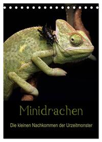Minidrachen - Die kleinen Nachkommen der Urzeitmonster (Tischkalender 2026 DIN A5 hoch), CALVENDO Monatskalender