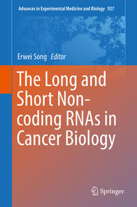 The Long and Short Non-coding RNAs in Cancer Biology