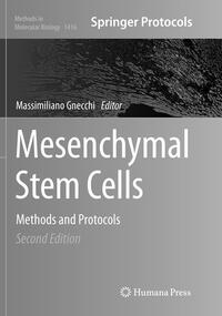 Mesenchymal Stem Cells