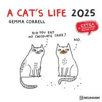 N NEUMANNVERLAGE - A Cat's Life 2025 Broschürenkalender, 30x30cm, Wandkalender mit lustigen Katzen-Illustrationen, internationalen Feiertagen und viel Platz für Notizen