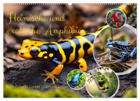 Heimische und exotische Amphibien (Wandkalender 2026 DIN A2 quer), CALVENDO Monatskalender