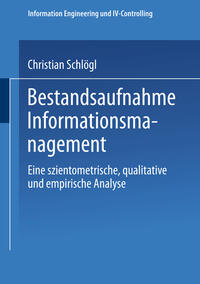 Bestandsaufnahme Informationsmanagement
