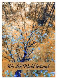 Wo der Wald träumt (Wandkalender 2026 DIN A4 hoch), CALVENDO Monatskalender