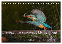 Eisvögel, faszinierende kleine Flieger. (Tischkalender 2025 DIN A5 quer), CALVENDO Monatskalender