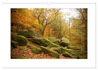 Zauberhafte Landschaften im Odenwald (Wandkalender 2026 DIN A3 quer), CALVENDO Monatskalender