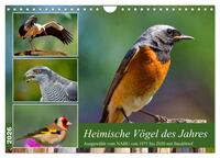 Heimische Vögel des Jahres (Wandkalender 2026 DIN A4 quer), CALVENDO Monatskalender
