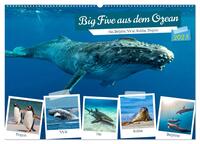 Big Five aus dem Ozean Hai, Delphin, Wal, Robbe, Pinguin (Wandkalender 2025 DIN A2 quer), CALVENDO Monatskalender
