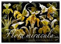 Flora miracula - Die wundersame Welt des Fotografen Olaf Bruhn (Wandkalender 2025 DIN A3 quer), CALVENDO Monatskalender