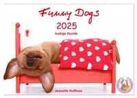 Funny Dogs (Wandkalender 2025 DIN A2 quer), CALVENDO Monatskalender