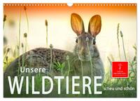 Unsere Wildtiere - scheu und schön (Wandkalender 2025 DIN A3 quer), CALVENDO Monatskalender