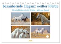 Bezaubernde Eleganz weißer Pferde (Tischkalender 2026 DIN A5 quer), CALVENDO Monatskalender