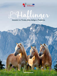Vorderes Coverbild L’Haflinger