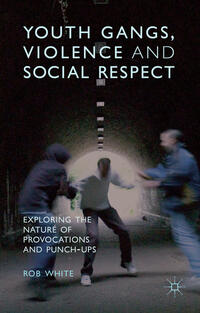 Vorderes Coverbild Youth Gangs, Violence and Social Respect
