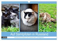 Auf Samtpfoten in Russland - Museums-Katzen auf russischen Landgütern (Wandkalender 2026 DIN A3 quer), CALVENDO Monatskalender