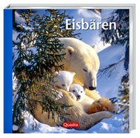 Eisbären