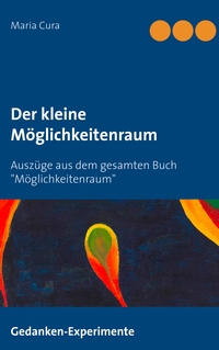 Der kleine Möglichkeitenraum