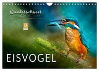Wunderschöner Eisvogel (Wandkalender 2026 DIN A4 quer), CALVENDO Monatskalender