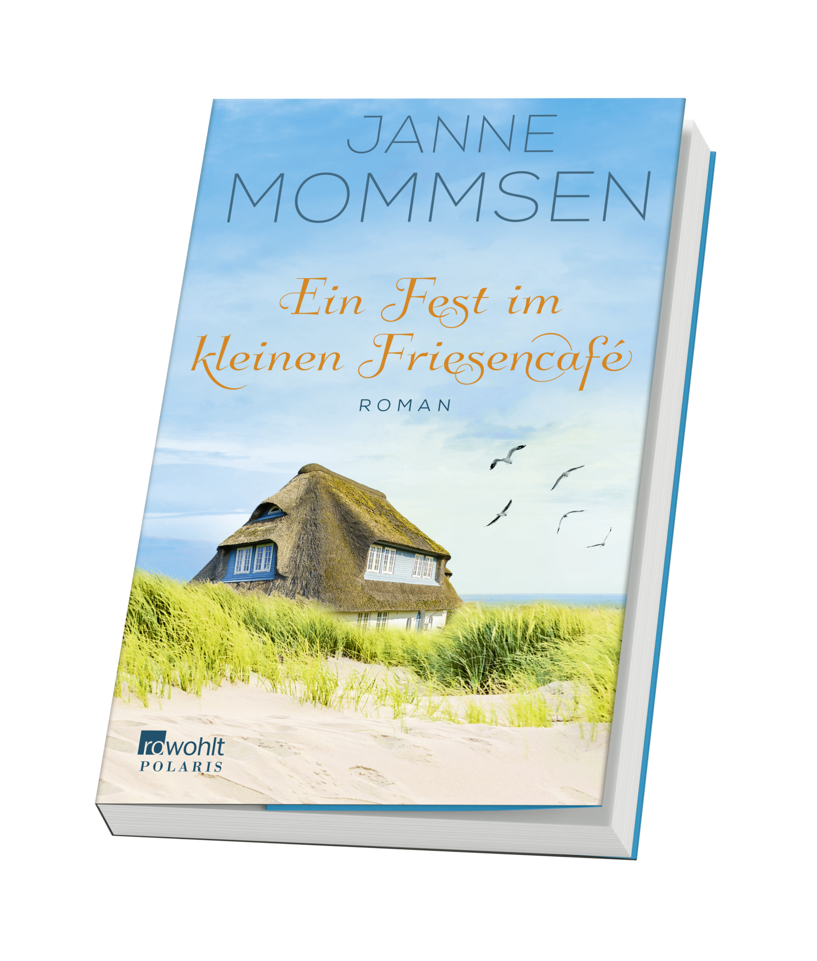 Anderes Coverbild Ein Fest im kleinen Friesencafé