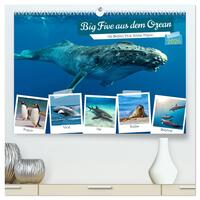 Big Five aus dem Ozean Hai, Delphin, Wal, Robbe, Pinguin (hochwertiger Premium Wandkalender 2026 DIN A2 quer), Kunstdruck in Hochglanz