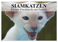Siamkatzen - Kleiner Frechdachs mit Familie (Wandkalender 2025 DIN A2 quer), CALVENDO Monatskalender