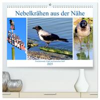 Nebelkrähen aus der Nähe - Faszinierende Vögel am Kurischen Haff (hochwertiger Premium Wandkalender 2025 DIN A2 quer), Kunstdruck in Hochglanz