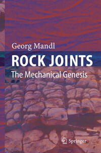 Rock Joints