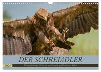Der Schreiadler (Clanga pomarina) - Deutschands kleinster und stark gefährdeter Adler. (Wandkalender 2026 DIN A3 quer), CALVENDO Monatskalender