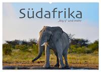 Vorderes Coverbild Südafrika - Big 5 und mehr (Wandkalender 2025 DIN A2 quer), CALVENDO Monatskalender