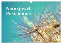 Naturjuwel Pusteblume (Wandkalender 2025 DIN A3 quer), CALVENDO Monatskalender