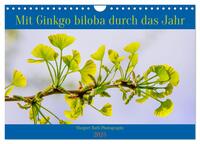 Mit Ginkgo biloba durch das Jahr (Wandkalender 2025 DIN A4 quer), CALVENDO Monatskalender