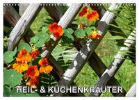 Heil- und Küchenkräuter (Wandkalender 2025 DIN A3 quer), CALVENDO Monatskalender